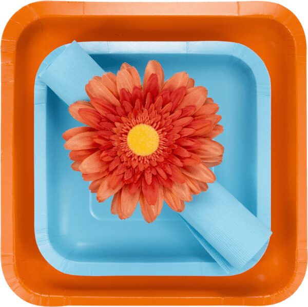 A flower in the middle of an orange and blue tray.