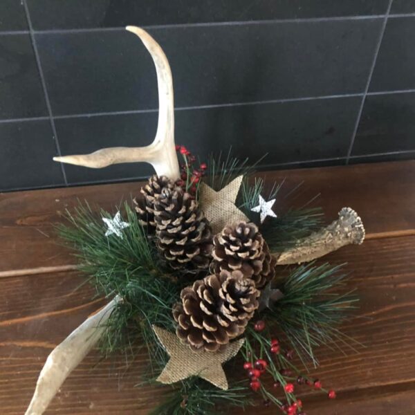 A table with some pine cones and antlers