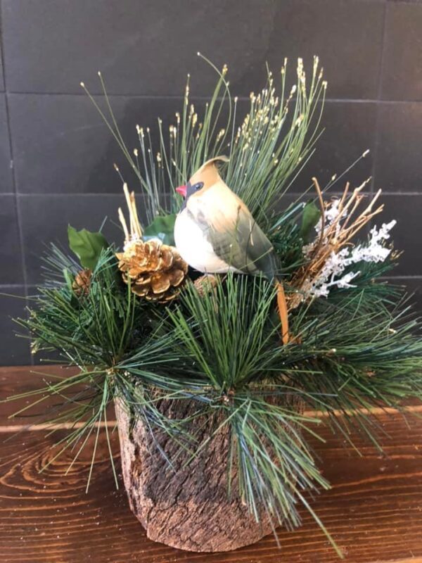 A bird sitting on top of some pine needles.