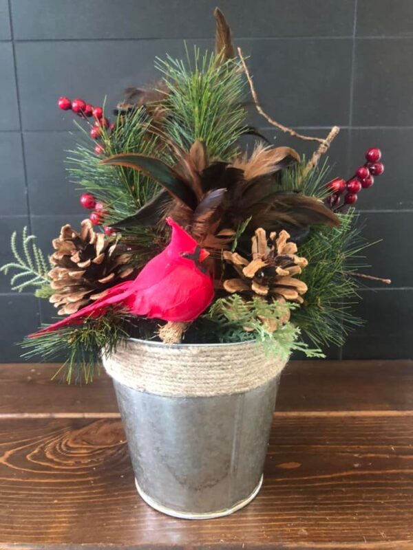 A red bird sitting on top of some pine cones.